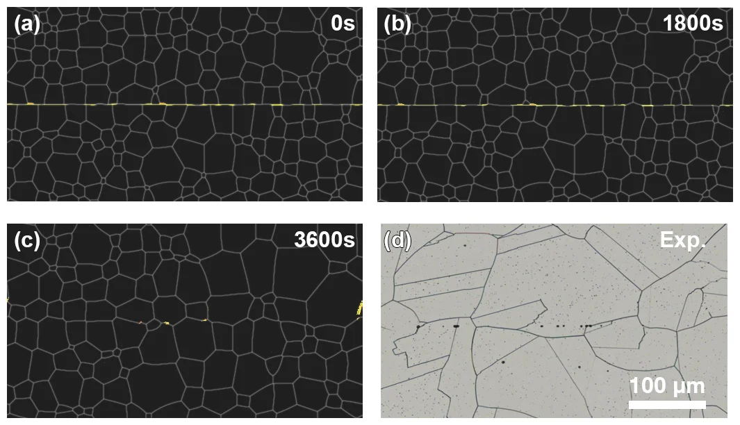 Simulated bond line over time next to an experimental micrograph