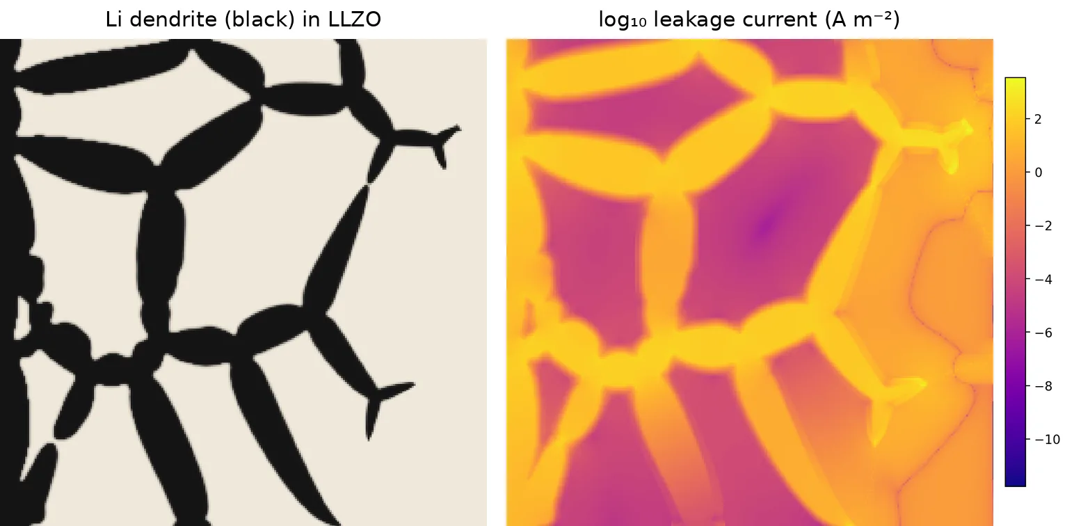 Dendrite and the leakage-current map