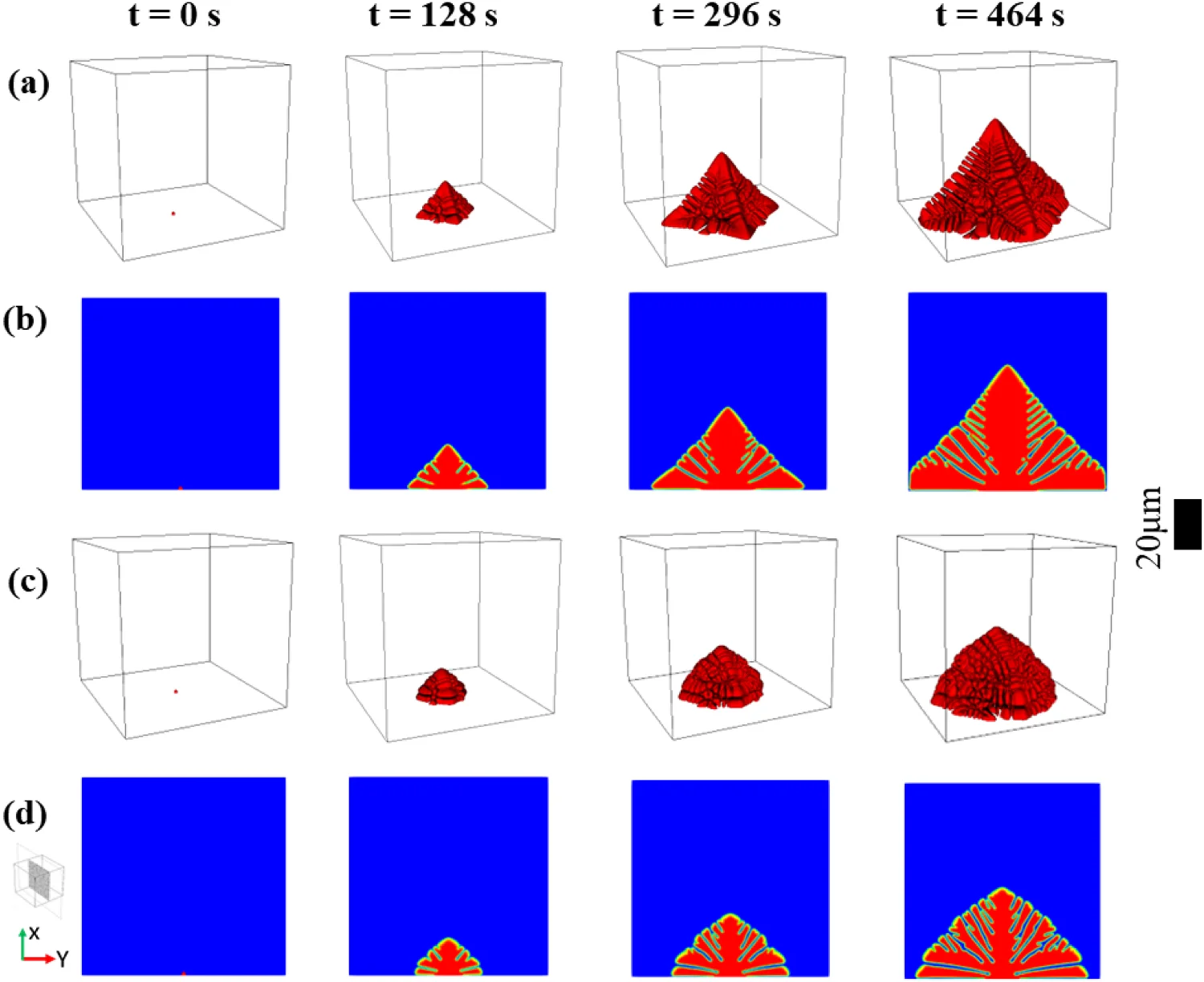 3D spike and tree dendrites over time