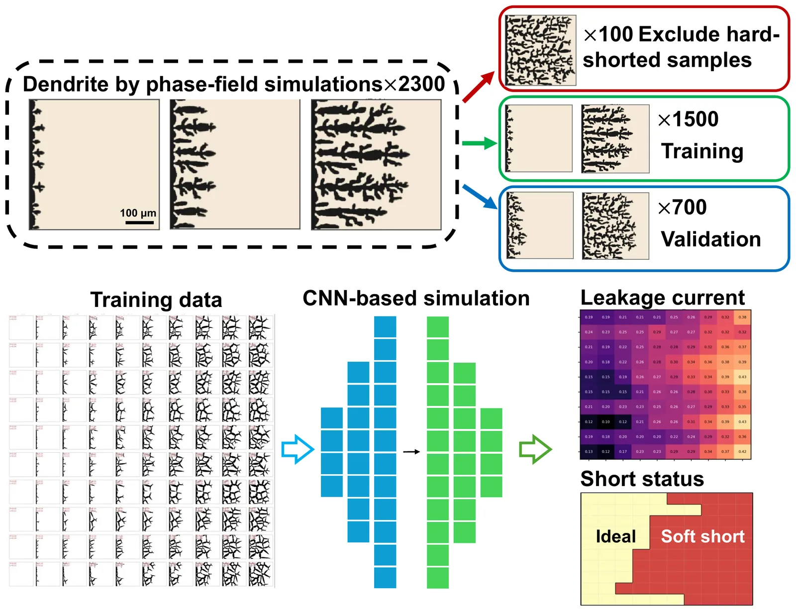 Training pipeline from phase-field simulations to CNN