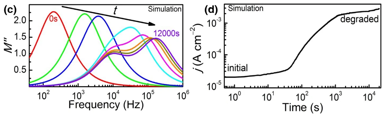 Simulated modulus spectra and leakage current during degradation