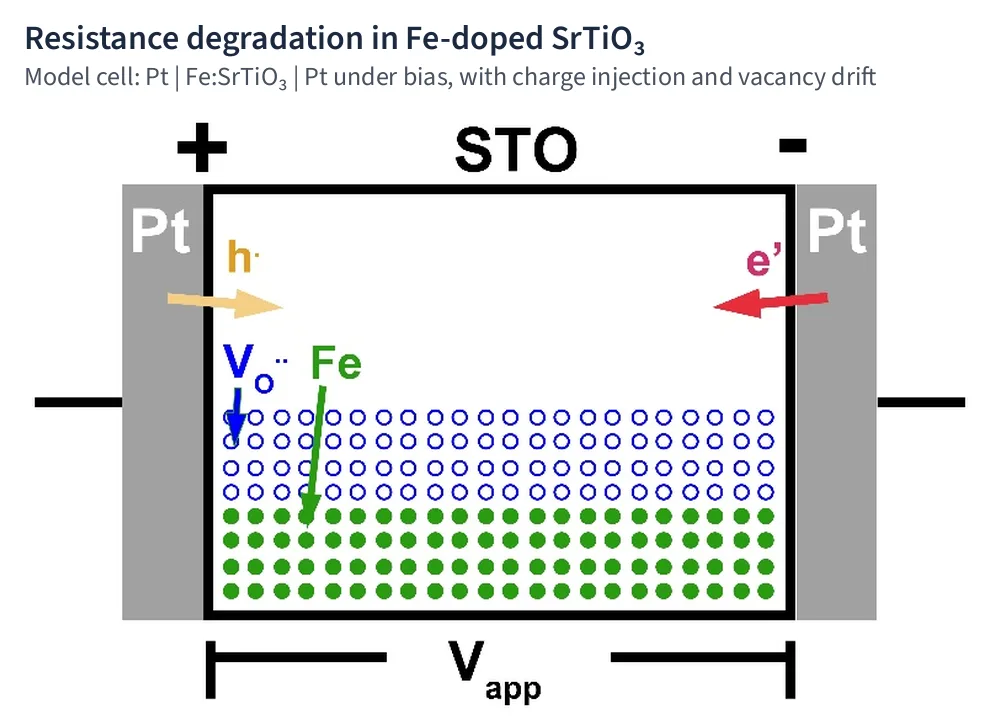 Schematic of the Pt / Fe:SrTiO3 / Pt model cell