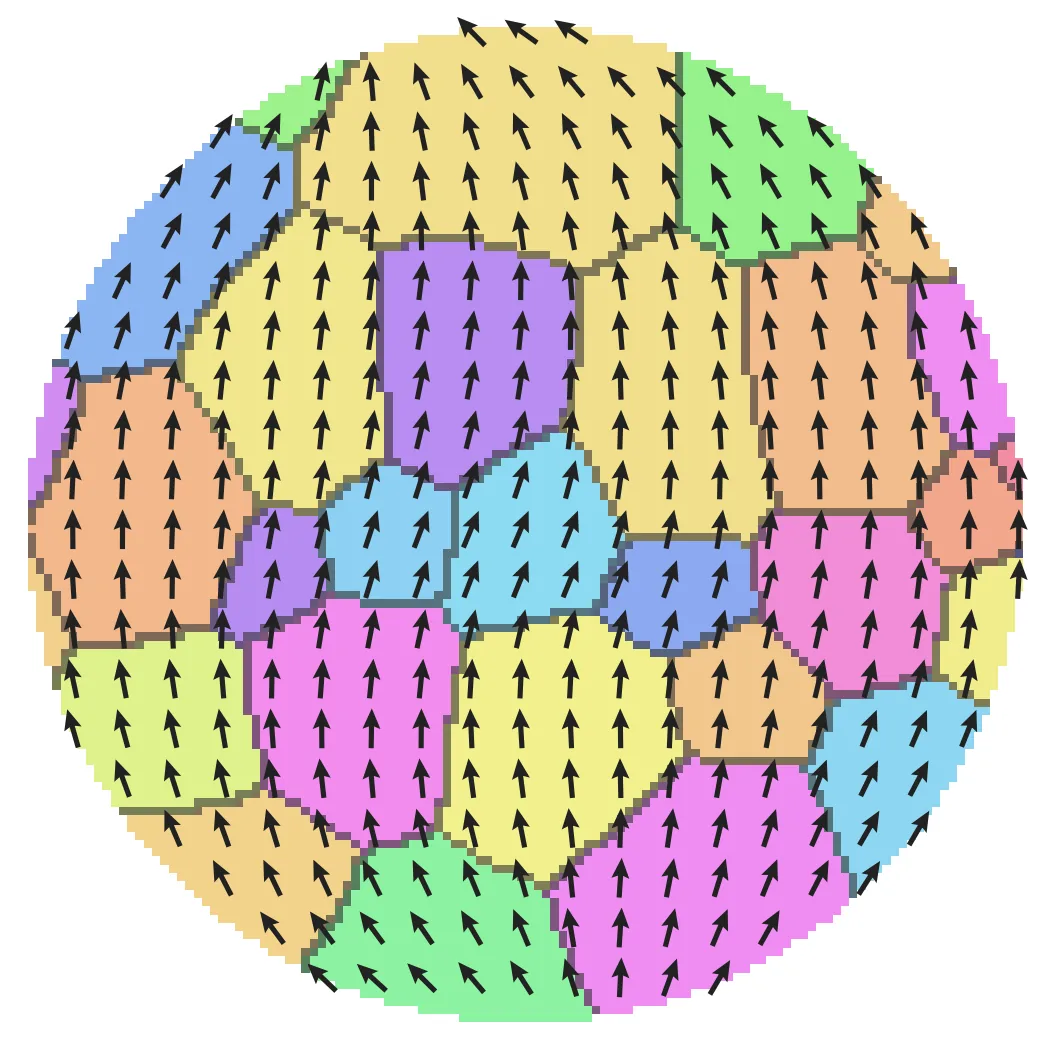 Grains colored with magnetization arrows